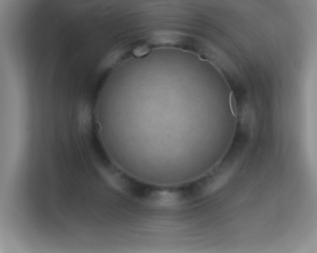 X0000113860352200909241312