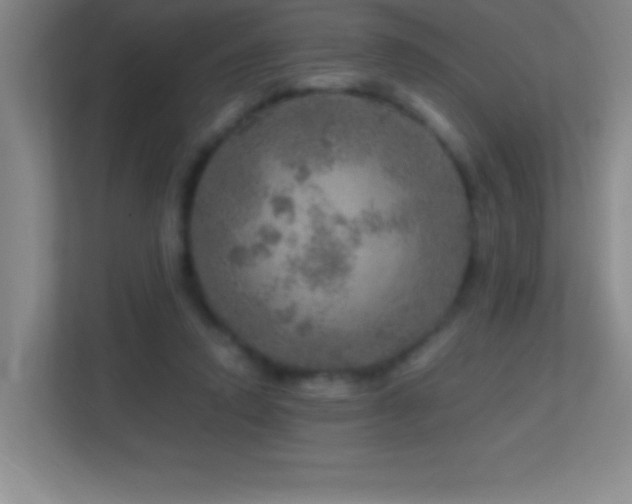 X0000113860354200909241312