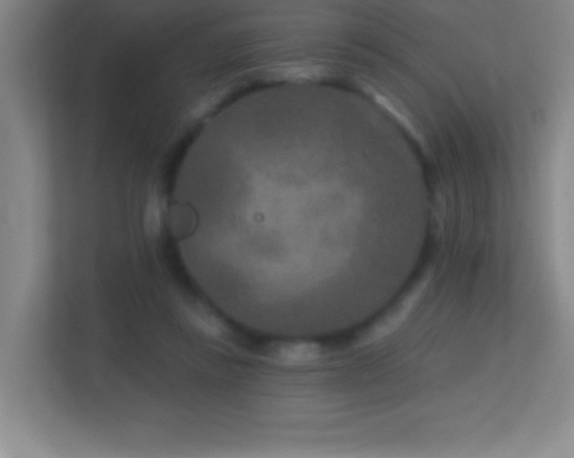 X0000113860355200909241312