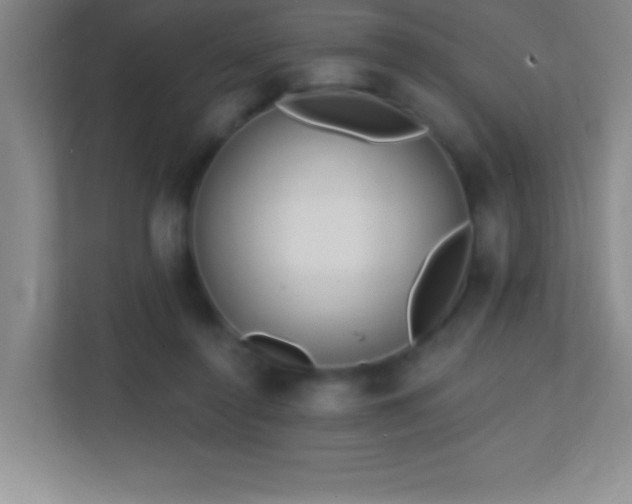 X0000113860356200909241312