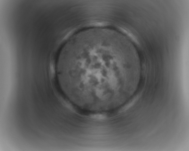 X0000113860358200909241312