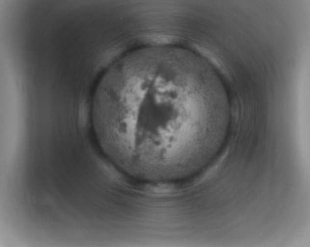 X0000113860359200909241312