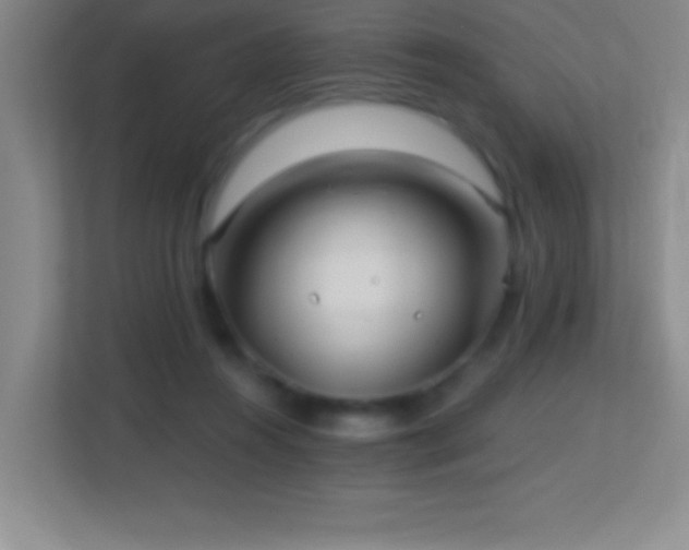 X0000113860360200909241312
