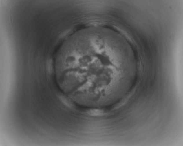 X0000113860361200909241312