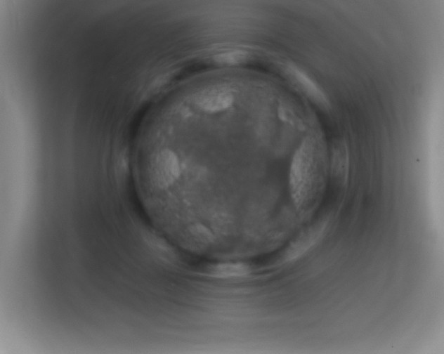 X0000113860363200909241312