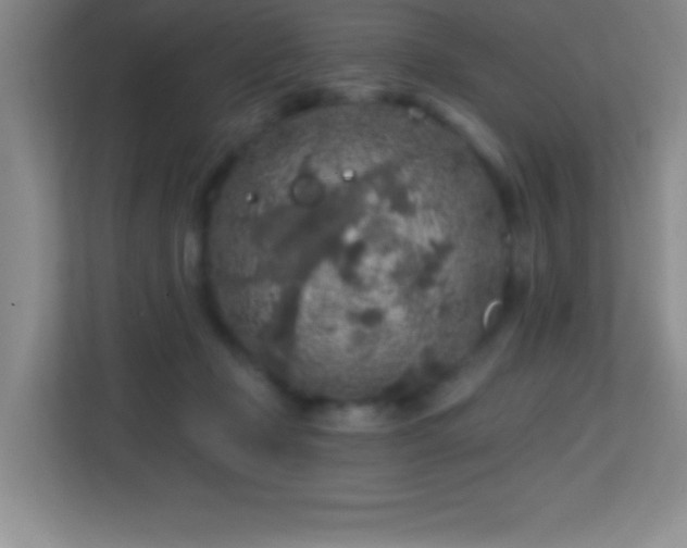X0000113860365200909241312