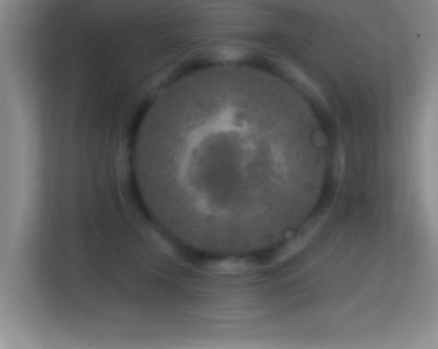 X0000113860366200909241312