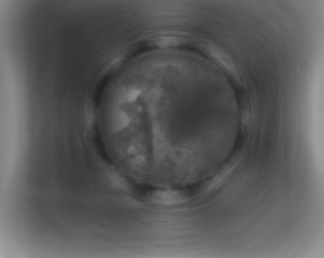 X0000113860367200909241312