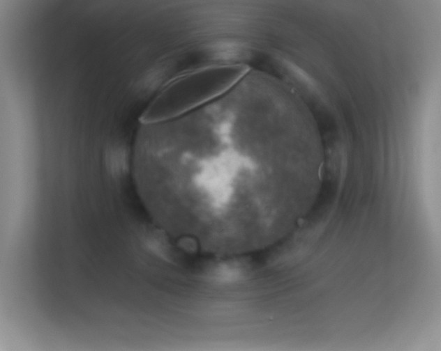 X0000113860368200909241312