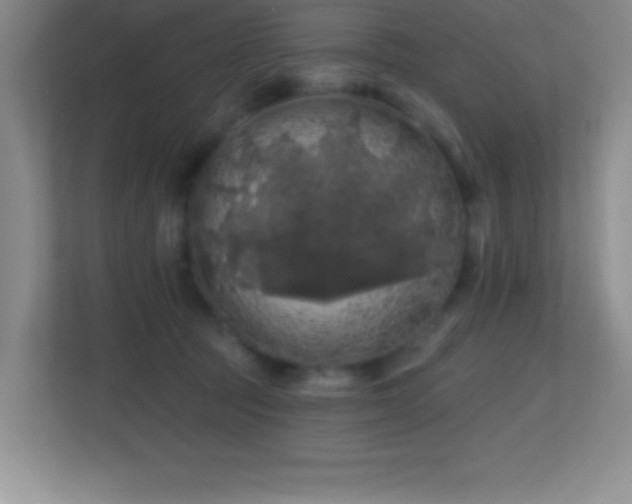X0000113860369200909241312