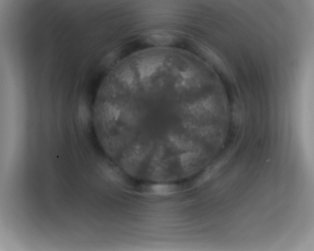 X0000113860371200909241312