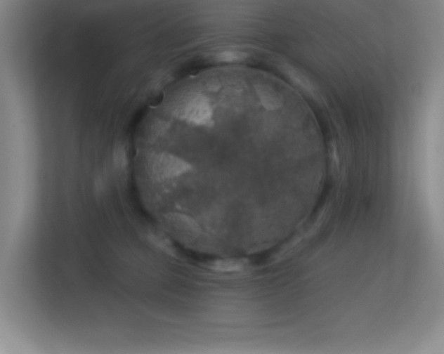 X0000113860373200909241312
