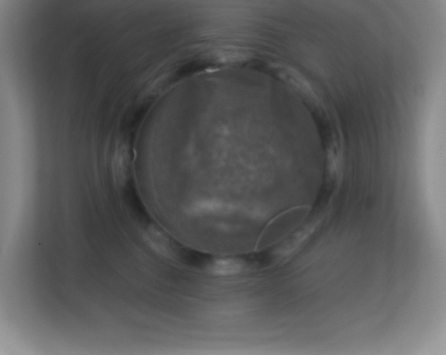X0000113860376200909241313