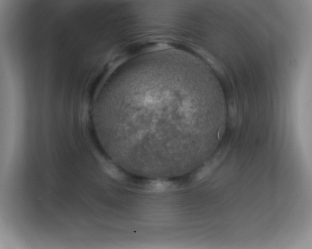 X0000113860379200909241313