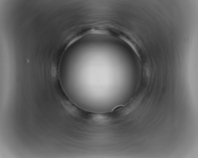 X0000113860380200909241313
