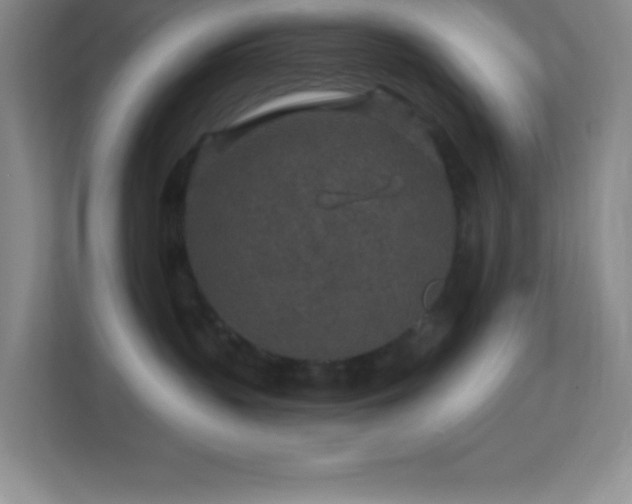 X0000113860383200909241313