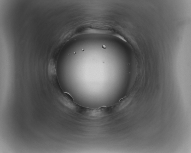 X0000113860384200909241313
