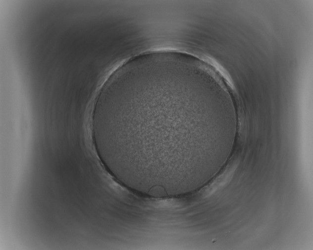 X0000113860385200909241312