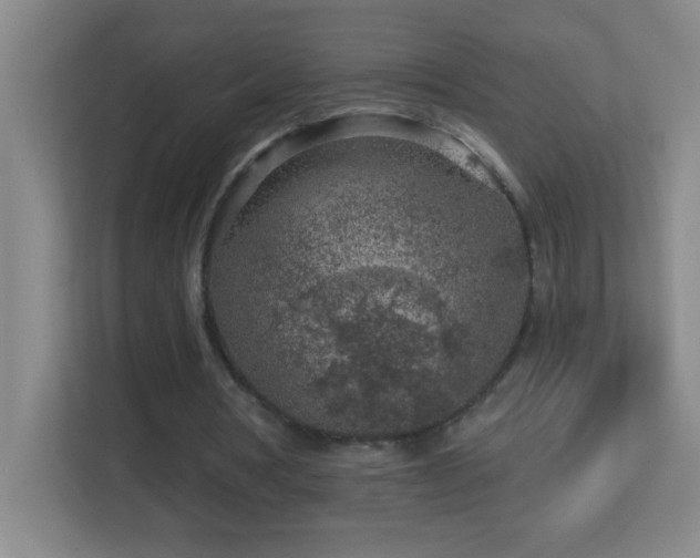 X0000113860386200909241312