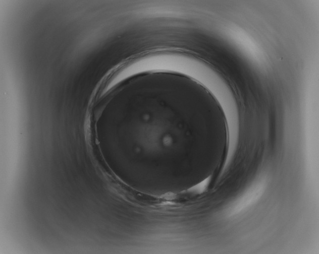 X0000113860387200909241312