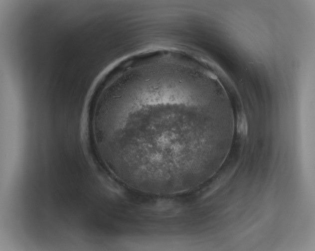 X0000113860388200909241312