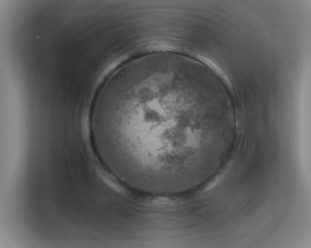 X0000113860390200909241312
