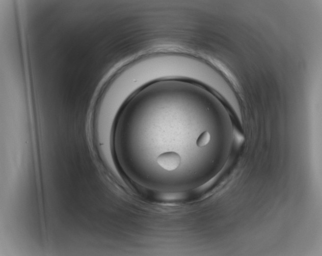 X0000113860391200909241312