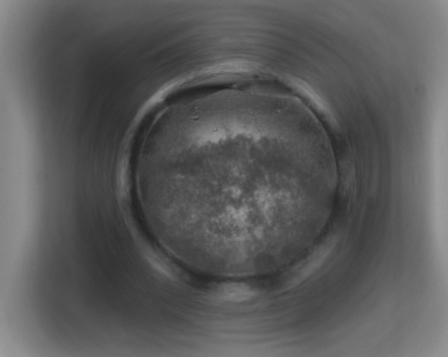 X0000113860392200909241312