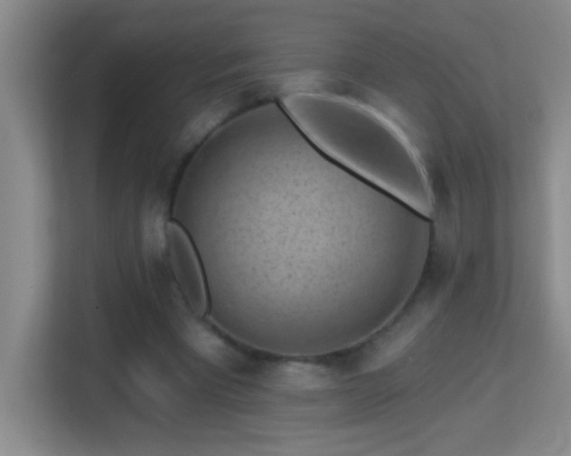 X0000113860393200909241312