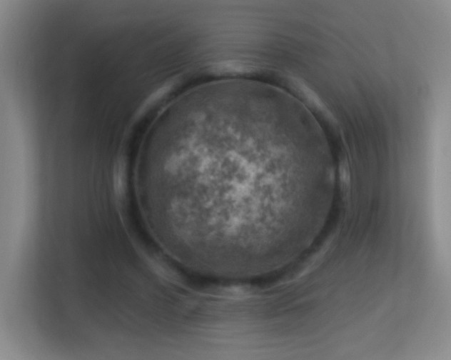 X0000113860396200909241312