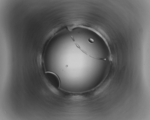 X0000113860397200909241312