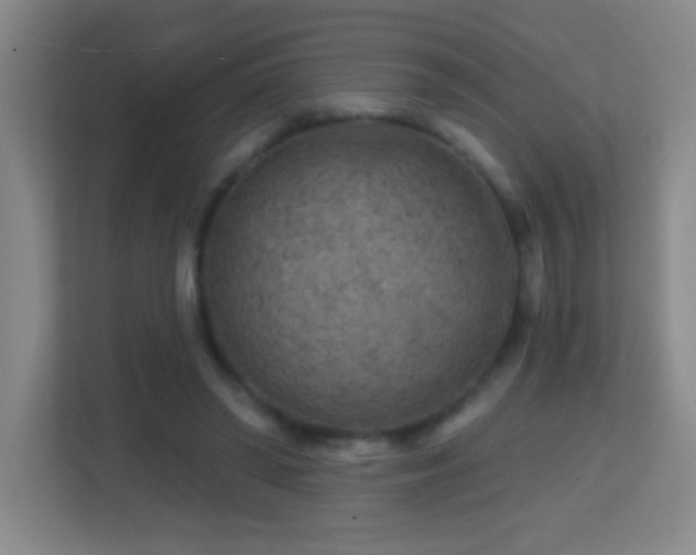 X0000113860398200909241312