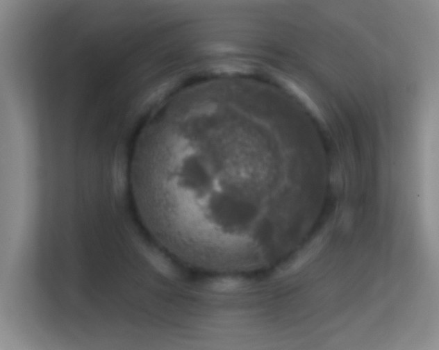 X0000113860402200909241312