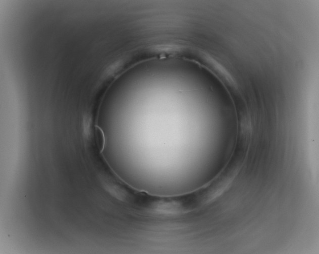 X0000113860403200909241312