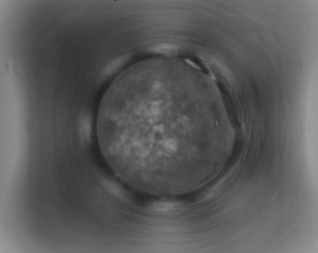 X0000113860404200909241312