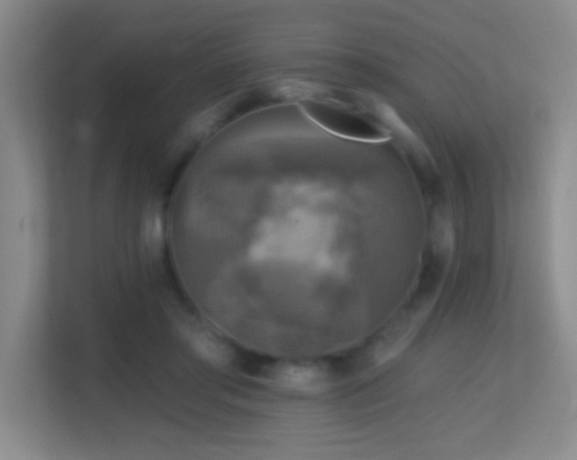X0000113860405200909241312