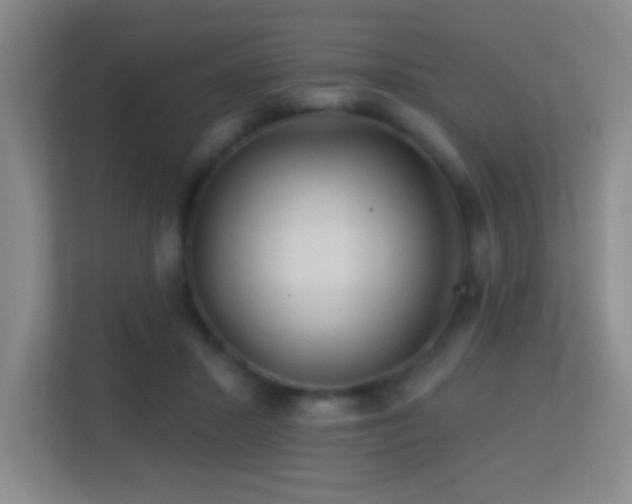 X0000113860407200909241312