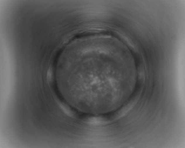 X0000113860408200909241312