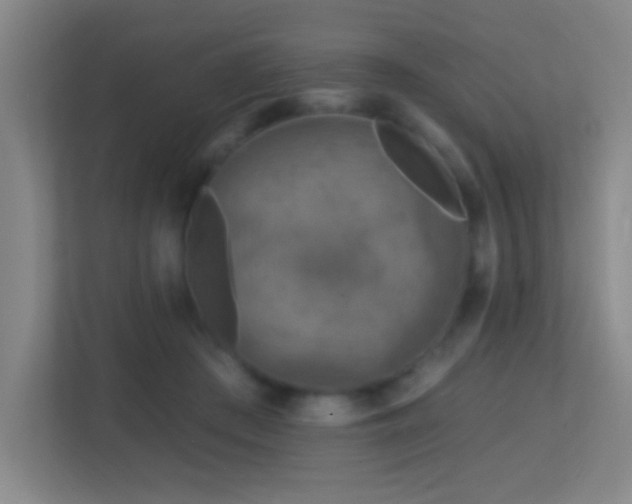 X0000113860409200909241312