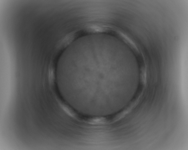X0000113860410200909241312