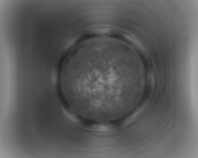 X0000113860412200909241312