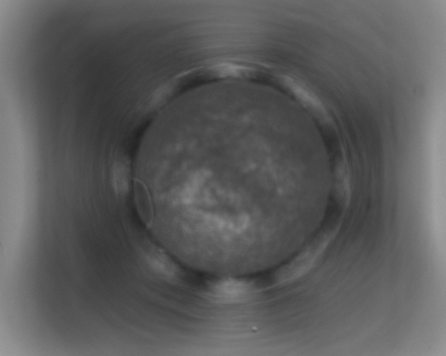 X0000113860413200909241312