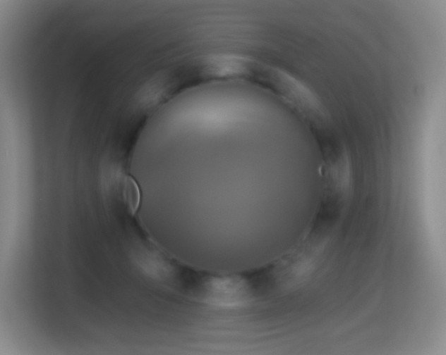 X0000113860415200909241312