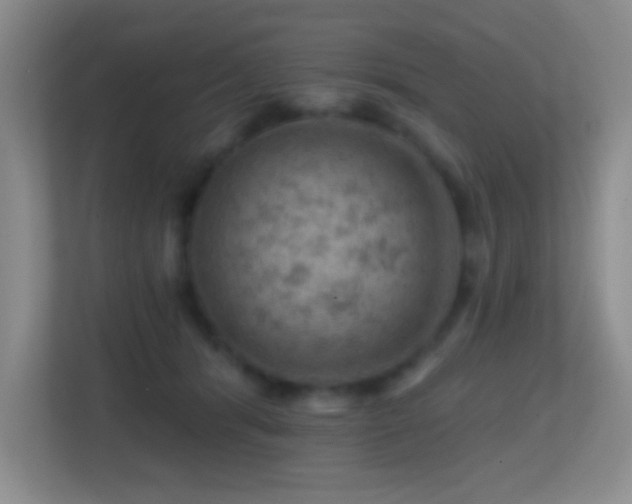 X0000113860416200909241312