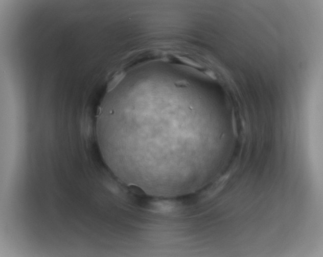 X0000113860417200909241312