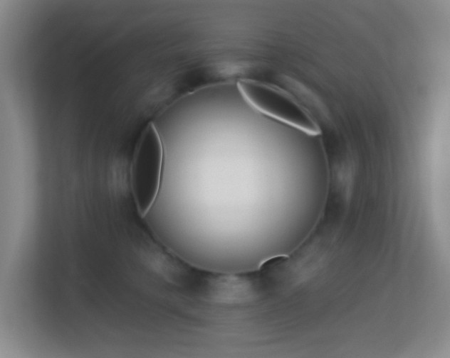 X0000113860421200909241312