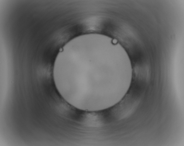 X0000113860423200909241311