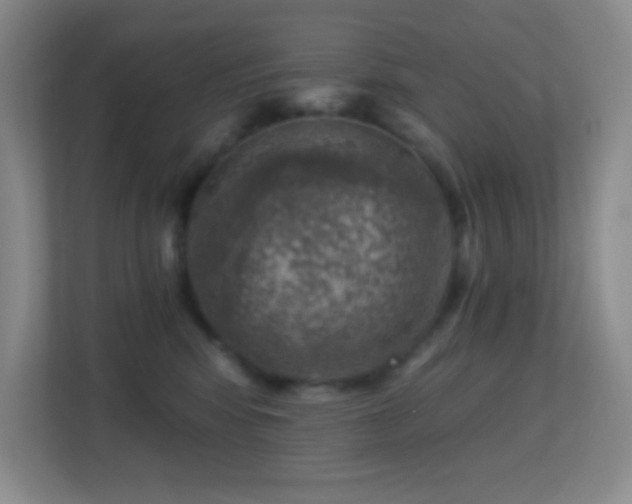X0000113860424200909241311