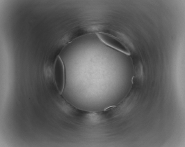 X0000113860425200909241311