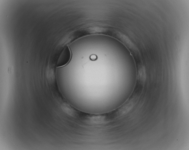 X0000113860426200909241311